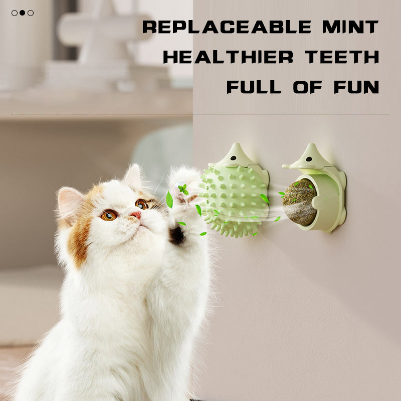 Shop for cats