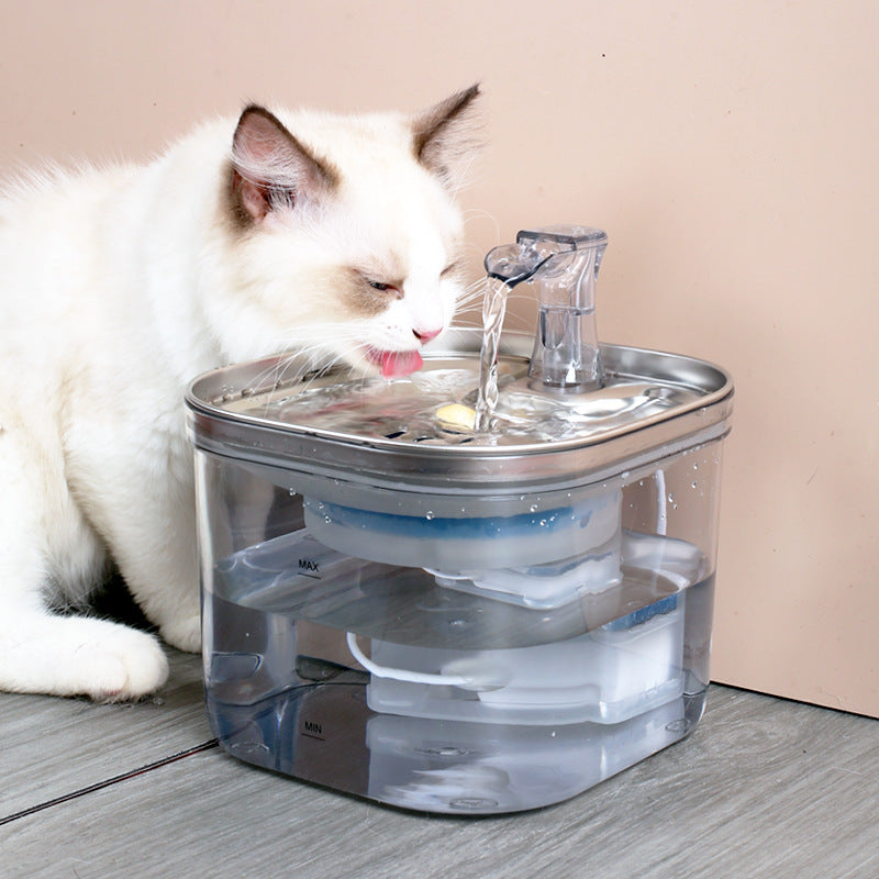 Pet feeding and hydration