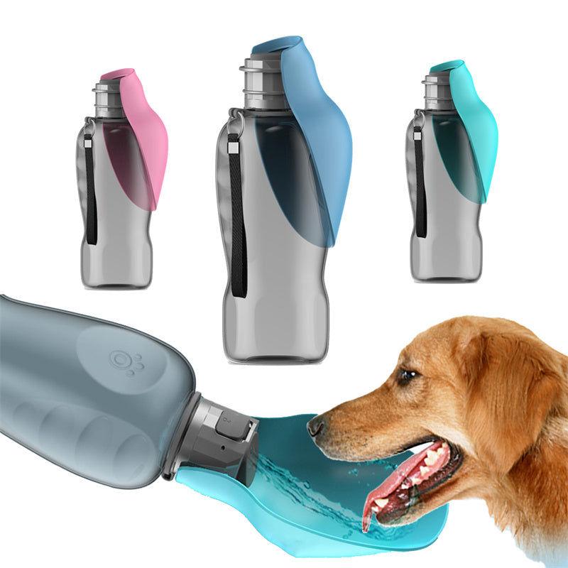 Shop for dogs